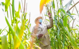 Visite à Nioro: Le President Macky Sall encourage les cultivateurs pour cette belle campagne agricole