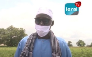L'essor économique du Sénégal ne peut passer que par l'Agriculture: les paysans réclament une meilleure distribution des semences