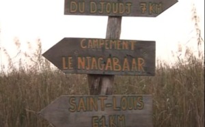 Ecométrages 2012 : Djoudj, le paradis des oiseaux migrateurs