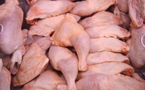 KAOLACK : saisie de 350 poulets de qualité douteuse