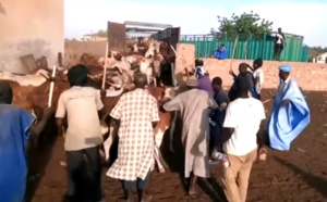 VIDEO - Mauritanie: Achat de bœufs par Serigne Saliou Thioune pour le Magal de Touba 