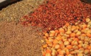 Résidus et contamination dans les produits alimentaires: les Sénégalais en danger de mort !