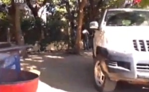 [Vidéo] Mystère autour du silence de Serigne Ahmed Tidiane Sy