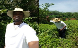 SONKO JOUE AVEC LE FEU ! Ousmane Sonko a encore « trop parlé »
