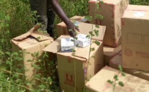 Trafic de médicaments: 40 000 flacons d’Artéméther injectable saisis par la Douane