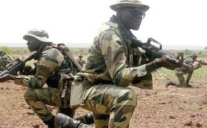 Le Sénégal prépare l'envoi de 500 soldats au Mali (ministre)