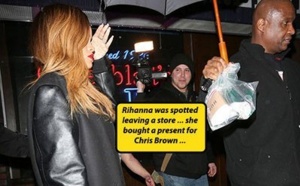 Rihanna nargue Chris Brown avec un sex-toy (photo)