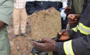 Trafic de drogue: Une quarantaine de kilos de yamba saisis par l'Ocrtis