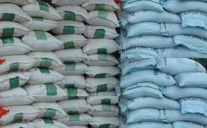Le Sénégal compte atteindre l’autosuffisance alimentaire en riz d’ici 2018