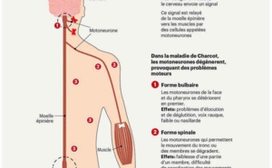Pape Bouba Diop a été emporté par la maladie de Charcot