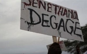 Des ressortissants de N'gnith à Dakar s'opposent à l'installation des projets Sen-huile et Sen-éthanol