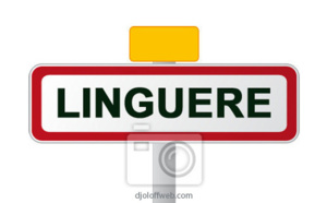 Linguère : Arrestation d’une bande de malfaiteurs composés d’ex militaires
