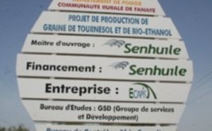 Le projet Sen huile/Sen éthanol divise les populations de Nguith