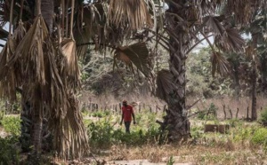 Ndiadiou: 3 jeunes portés disparus, le village en pleine psychose