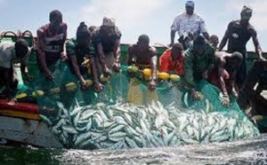 Rufisque: Sa marche interdite, l’Unapas étale sa colère au quai de pêche