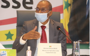 Campagne arachidière: Moussa Baldé annonce la disponibilité de 100.000 tonnes de semences certifiées et homologuées