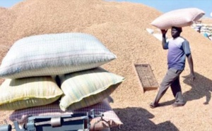 Campagne agricole: "Macky Sall a bien pensé à l'intérêt du monde rural en..."