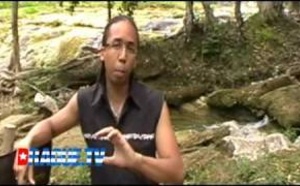 Comment draguer une serveuse