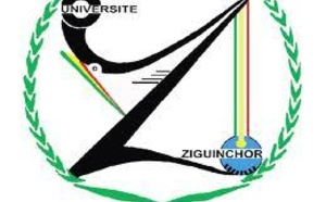 Ziguinchor: Un étudiant retrouvé pendu dans la forêt