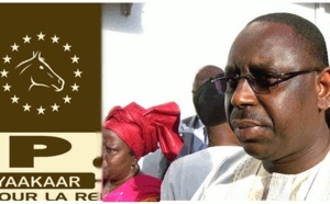 Louga: Kane Mbaye, élu coordonnateur départemental des cadres de l’APR