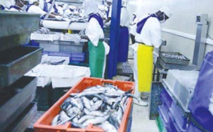 Keur Mousseu: Vive polémique autour de l'implantation d'une poissonnerie