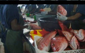 Tension à Keur Mousseu: Vive polémique autour de l’implantation d’une poissonnerie