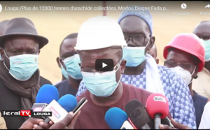 Campagne de collecte d'arachide à Louga: Modou Diagne Fada s'explique
