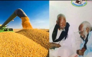 NDIGUEL : du Khalife général des mouride Travaux Champêtres dès ce Mercredi 27 mars 2013