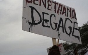 Projet Sen-huile Sen-éthanol: Les éleveurs menacent d’assiéger le Palais avec 30.000 bœufs