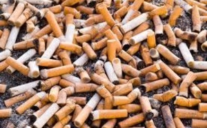 Lutte contre le tabagisme : Les députés empruntent la voie de la sensibilisation