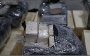 Trafic de drogue à Dagana: Le "baron" du Walo traqué