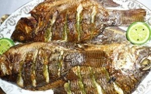 Manger du poisson : la solution pour vivre vieux ?
