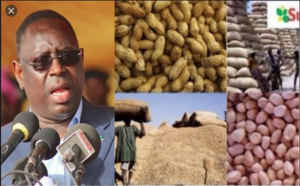 Campagne de commercialisation arachidière: Le Président Sall salue son bon déroulement