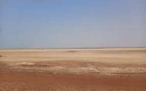 Fatick, une zone agricole à exploiter encore 