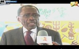 Journal 20H du Mardi 23 Avril 2013 (2STV)