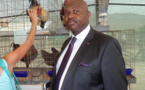Espagne-Feaga 2013 : ABC honore le  Sénégal.