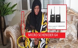 Déclaration de Adji Sarr: Regard croisé d'un spécialiste de Tic et d'un journaliste politique