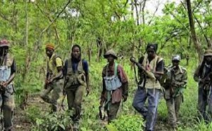 Retour définitif de la paix en Casamance : Le MFDC  pour l'unité, le pardon et la réconciliation