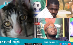 AFFAIRE SECK AK MOUSS MI: L'AVOCAT DE SECK TACLE MBAYE SAPAR SAPAR: "BUZZ LA BEUGG REK"