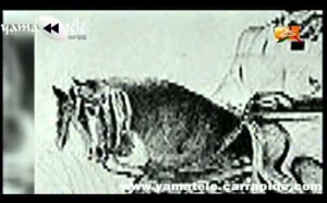 "DEMB" du mardi 21 Mai 2013 –Histoire des Sérères du Sine