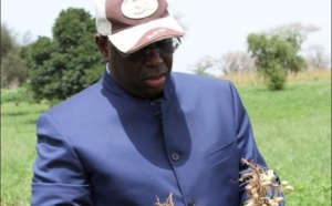 L’interview intégrale : Macky Sall présente son bilan
