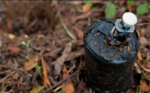 Eradication des mines antipersonnel en Casamance: Le gouvernement se donne 5 ans pour cette opération