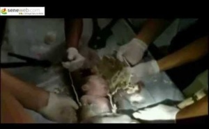 [Regardez-MIRACLE] Un bébé extrait d'un tuyau de toilettes émeut la Chine