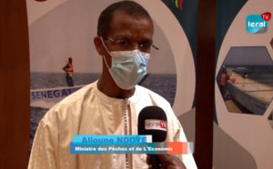 Alioune Ndoye, Ministre de la Pêche: "L'Etat a exonéré le prix des pirogues pour soulager les..."