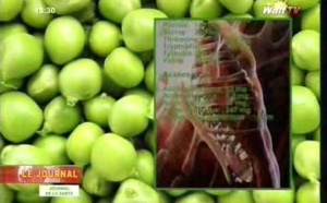 Journal de la sante du vendredi 07 juin 2013 (Walf-Tv)
