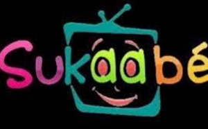 FARE 2013 : la 6éme édition se tient les 6 et 7 Juillet à Dakar