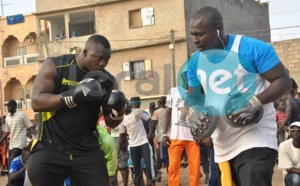 Prédiction de Thierno Ibrahima Baldé : « Modou Lô va mettre KO Eumeu Sène »