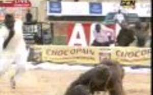 [Regardez!] Victoire de Modou Anta sur Bathie Seras en 13 Secondes