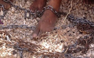 Gambie: Tortures et exécutions extrajudiciaires en règle sous Jammeh