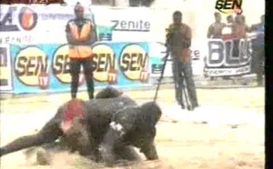 [Regardez!] Victoire de Modou Dia de l"ecurie Yoff sur Pape Tine